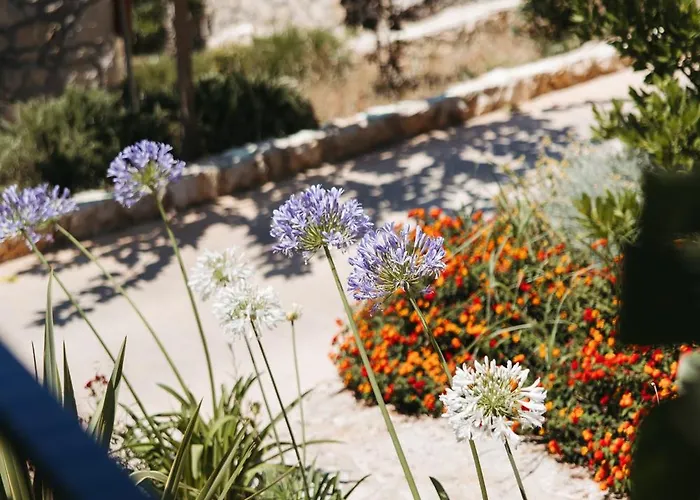 Resort Arameras